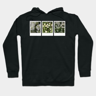 Assylum Photo Collection [white bundle] Hoodie